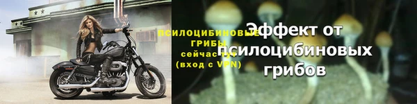 трава Армянск