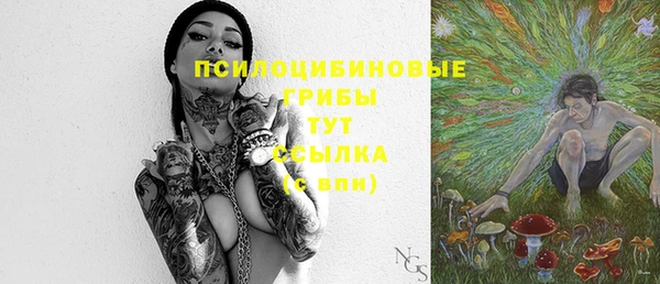 трава Армянск