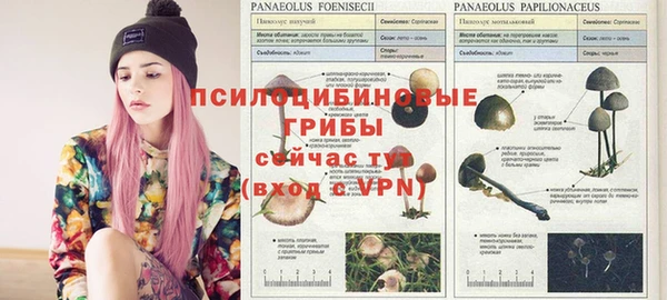 альфа пвп Арсеньев