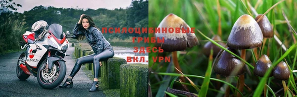 трава Армянск