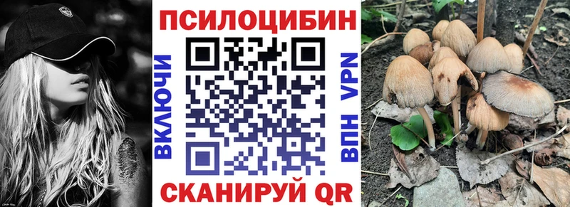 Галлюциногенные грибы мицелий  Нововоронеж 